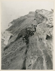 Oliver, Walter Reginald Brook, 1883-1957 :Photograph album of Kermadec Islands Expedition 1908. Ref: PA1-q-135-29-2. Alexander Turnbull Library, Wellington, New Zealand. /records/22742380
