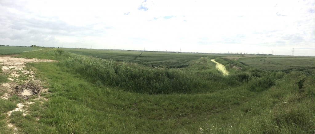 Walland Marsh, part of Romney Marsh, nr Scotney, Lydd, Kent.